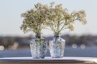 2014 Bankwest Sunset at Salter Point